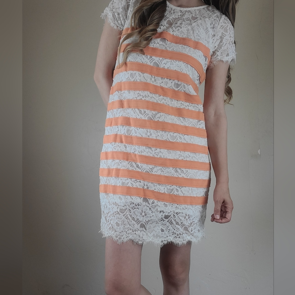 BCBGMaxAzria Roxine casual or work shift stripe peach lace dress size small